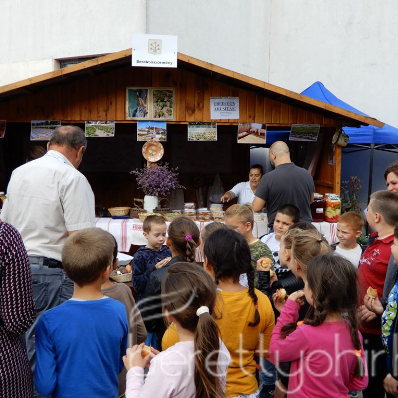 Helyi Értékek Startja 109